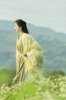 邻家律师赵德浩第2季